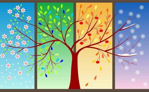 Four-Seasons-Tree